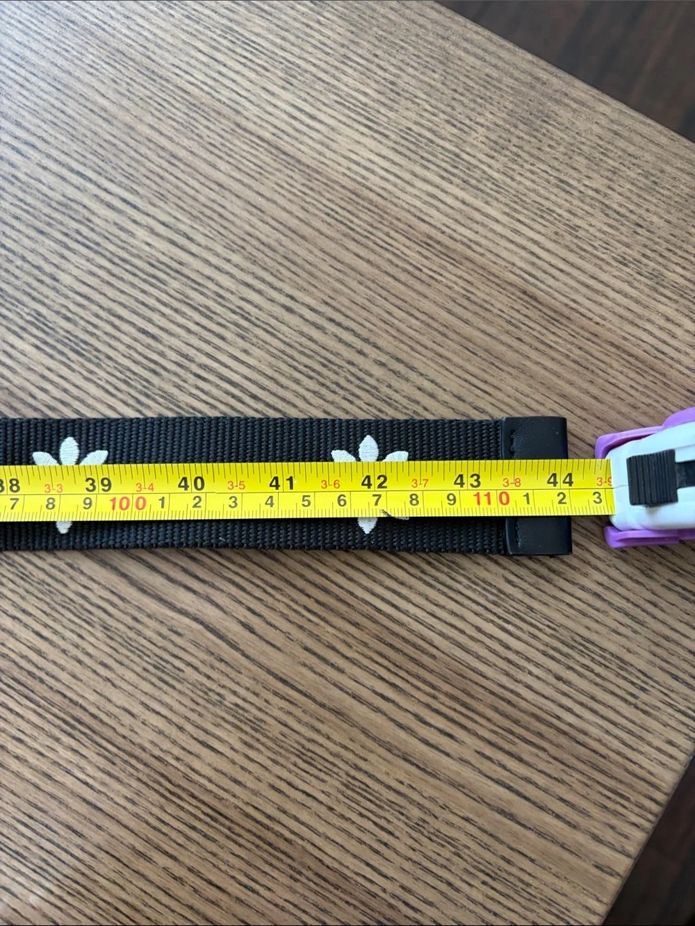 Black Webbed Belt with White Daisy Embroidered Design and Silver Ring Closure